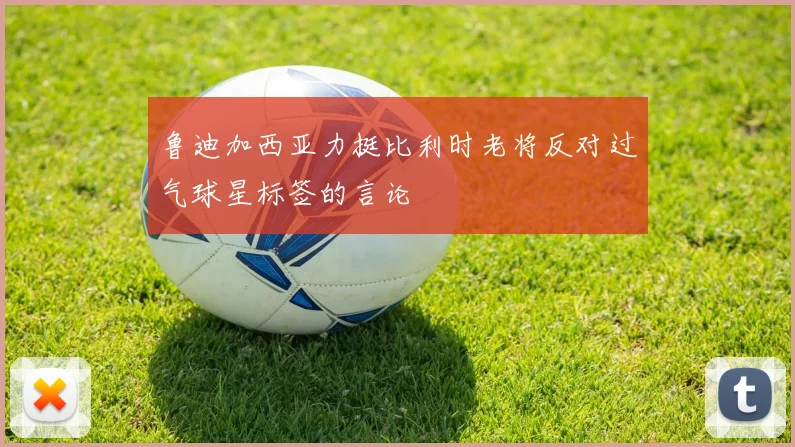 鲁迪加西亚力挺比利时老将反对过气球星标签的言论