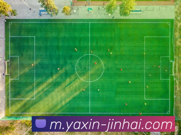 体育赛事直播